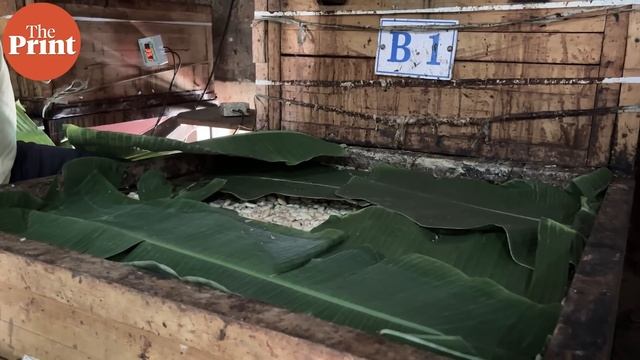 How Manam Chocolate is leading a chocolate revolution in India | Ground Report смотреть онлайн