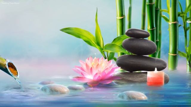 Расслабляющая фортепианная музыка + звуки воды 🎵 Успокаивающая музыка для сна (Bamboo Water) смотреть онлайн
