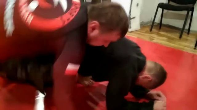 партер спорт(4)