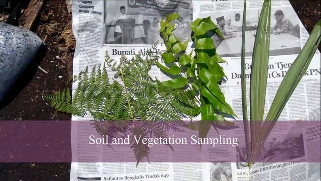 Josaphat Laboratory (JMRSL) Indonesia - Siak Peatland Survey смотреть онлайн