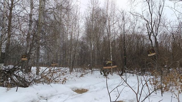 Ловля птиц 28.02.2025. смотреть онлайн