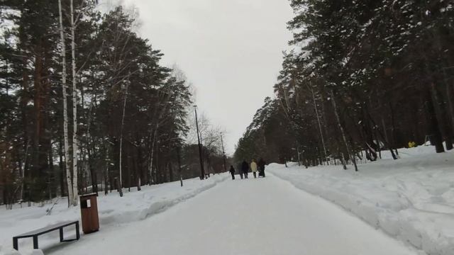 ПРОГУЛКА ПО ЗИМНЕМУ ЛЕСУ 2023 ГОД смотреть онлайн