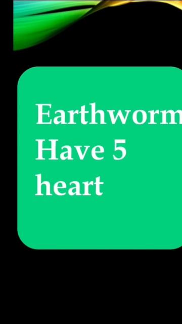 How many "Hearts " Does an earthworm have ? смотреть онлайн