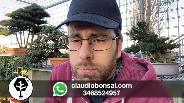 QUANDO, COME E PERCHÈ INTERVENIRE SUL BONSAI смотреть онлайн