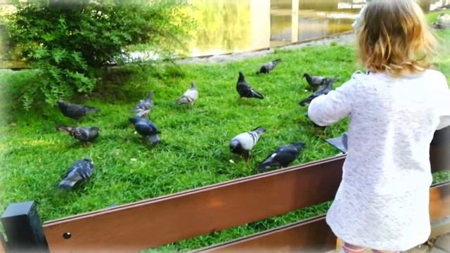 Тёплый вечер на озере 🍂 Последние летние деньки