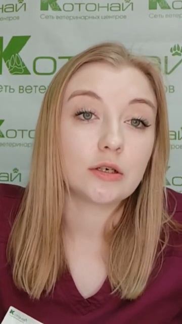 что такое ринит у животных смотреть онлайн