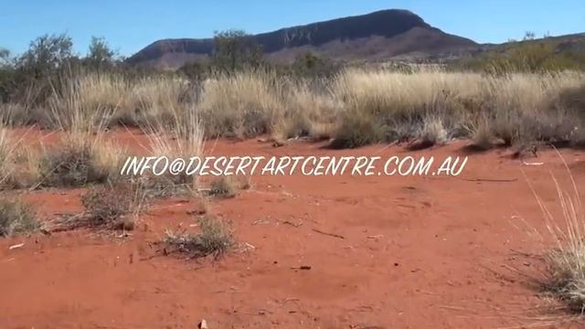 Aboriginal Art Ronnie Tjampitjinpa-1512