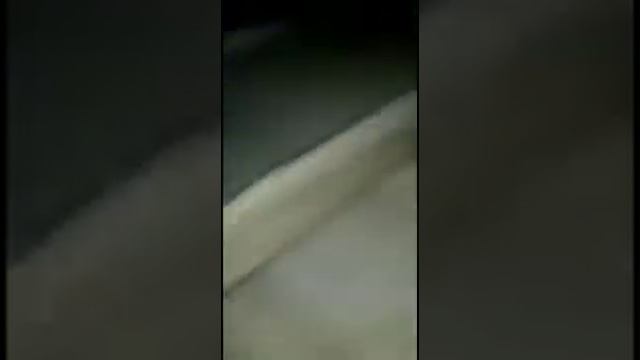 Залез в чердак и увидел осиные гнёзда! смотреть онлайн