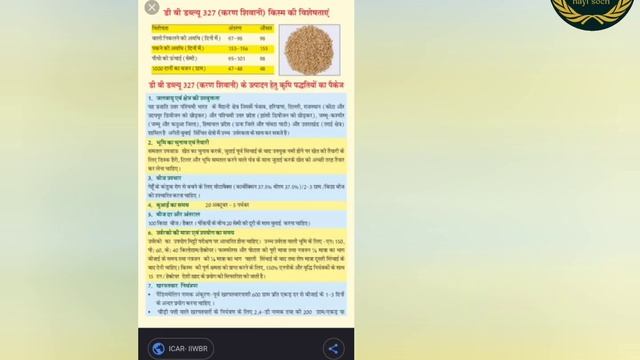 गेंहू की नई किस्म।।DBW 327 करण शिवानी।। यहाँ से मिलेगा बीज ।। ICAR - IIWBR।।yuva Kisan Nayi Soch