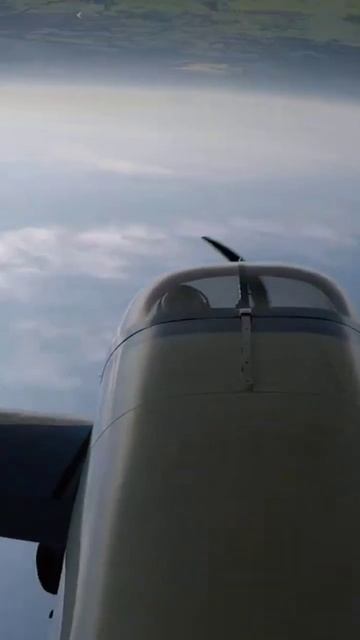 мертвая петля. смотреть онлайн