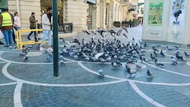 Baku City Tour 2021 || Vlog#3 || Beautiful Place It Is ❤️ #baku #azerbaijan #bakutour #dailyvlog