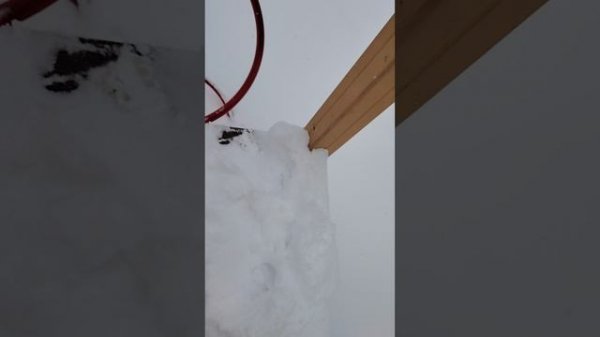 gegueTV гуляет с ga_ga626