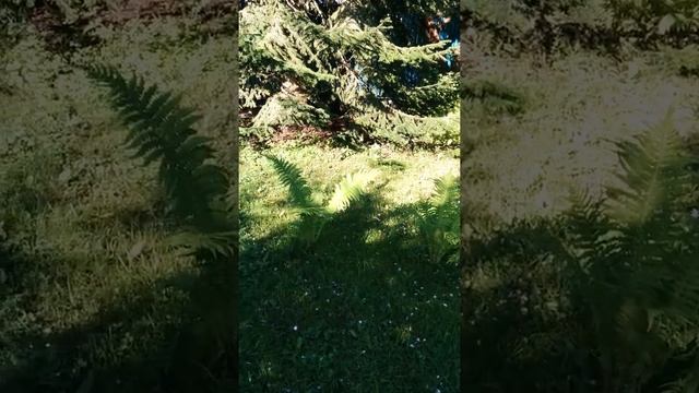 Утро смотреть онлайн