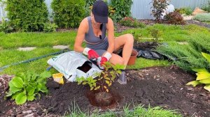 Самая масштабная ПЕРЕДЕЛКА в саду! Это надо было сделать РАНЬШЕ!