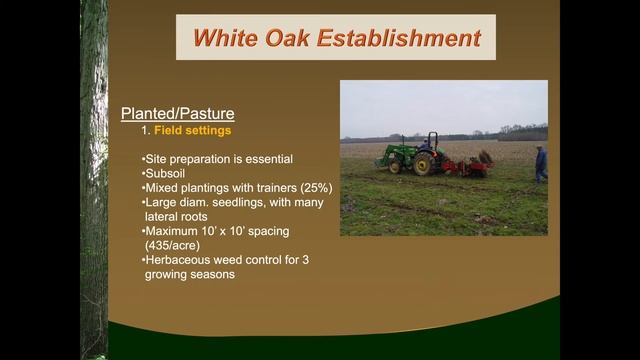 Managing for Quality White Oaks смотреть онлайн