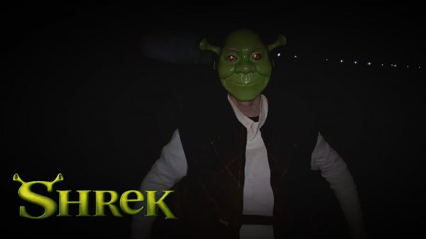 Nightmare swamp shrek