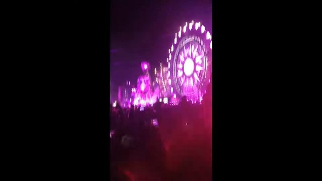 Electic Daisy Carnival México día 1- MI EXPERIENCIA + Stories de Insta - Linet Segura смотреть онлайн