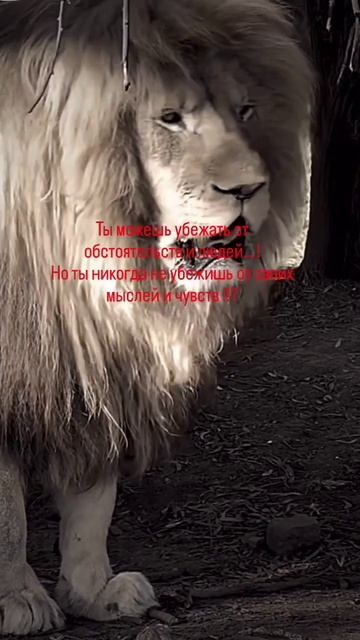 Правда смотреть онлайн