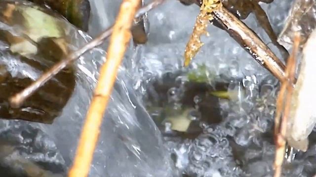 шум дождя смотреть онлайн