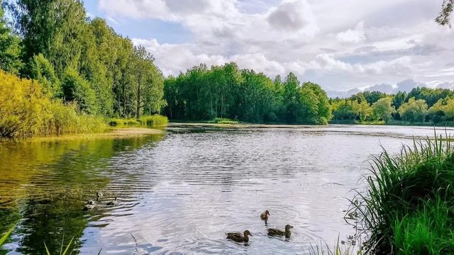 🎼.Людмила Зыкина - «А он ничей» смотреть онлайн