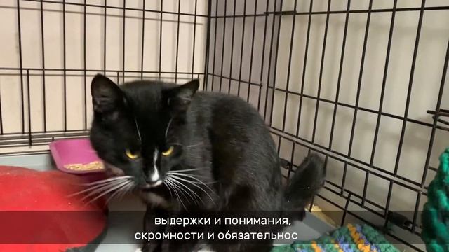 КИССИНДЖЕР смотреть онлайн