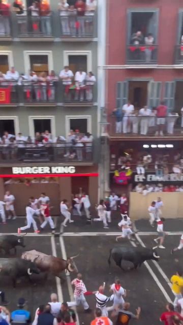 Bull run in Spain 2023 #traveling #spain #bullrun #shorts смотреть онлайн