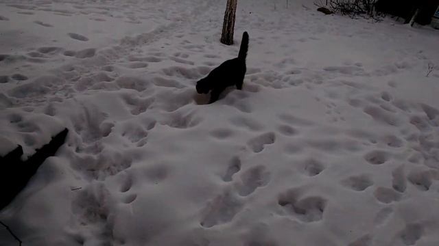 Холод не тётка смотреть онлайн