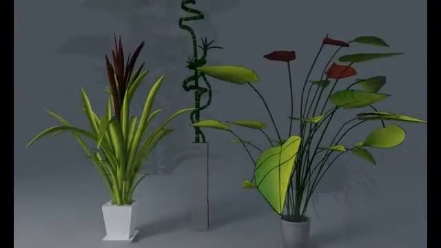 Pot Plant / Plant / Tree 3D models| 3ds, max, obj, c4d, lwo смотреть онлайн