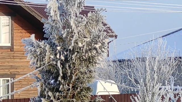 ДЕРЕВЕНСКИЙ ДНЕВНИК. "Театралы" смотреть онлайн