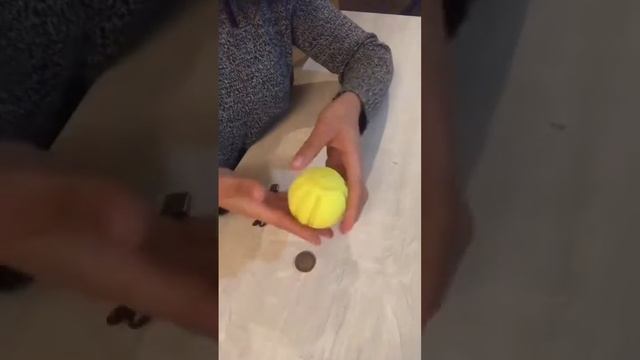 Animaxx wervik - Seecurity Duvo+ dog toys смотреть онлайн