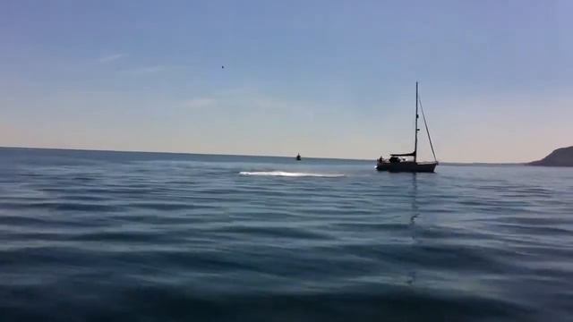 Dolphin in Dublin смотреть онлайн