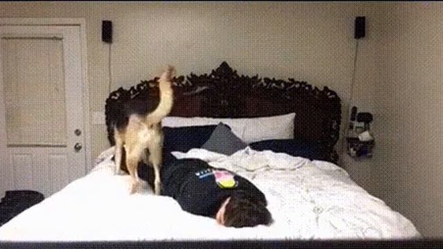 Тест на психику!!! Кто засмеётся тот псих!!!! смотреть онлайн