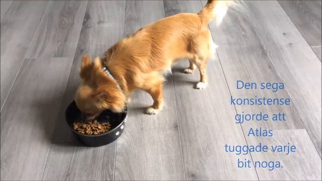 Atlas testar Purina ONE small dog, смотреть онлайн