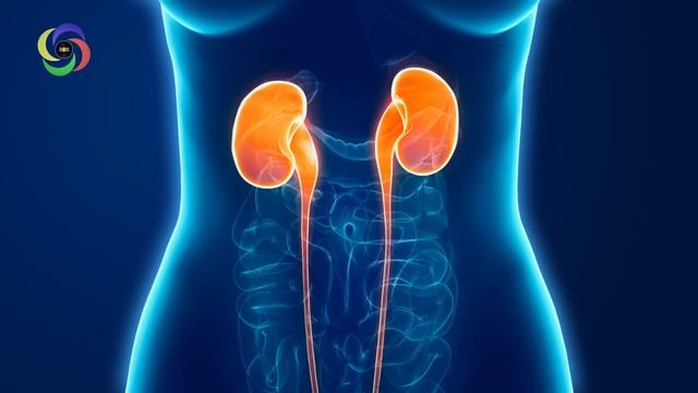 Most Used Kidney Frequncy 319.88 Hz for Kidney Stones, Kidney Cleanse, Kidney Pain Relief #RMBB смотреть онлайн