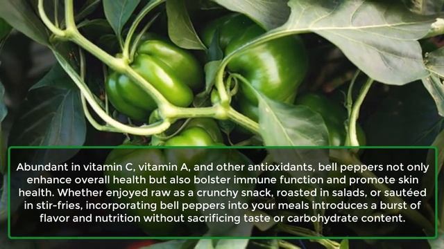 12 Healthiest Foods With No Carbs And No Sugar | How to cook смотреть онлайн