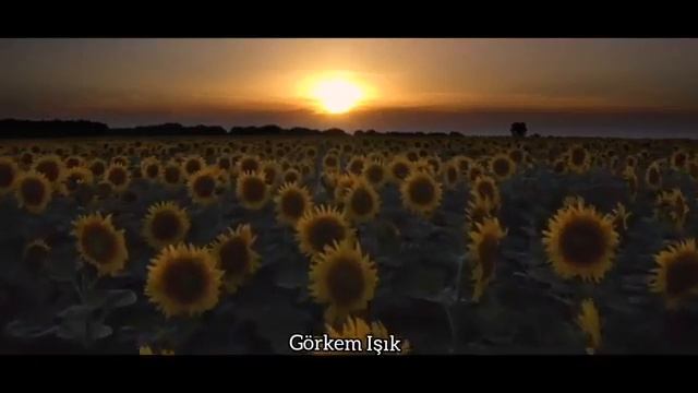 Bir Gülüşün Bile Yeterdi Bana😔