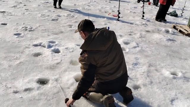 Поимки на поставушки смотреть онлайн