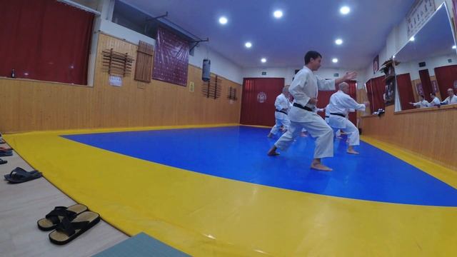Kihon combinando zuki, shuto, haito desde kamaes apropiados y desplanzado en yori ashi y kae ashi. смотреть онлайн