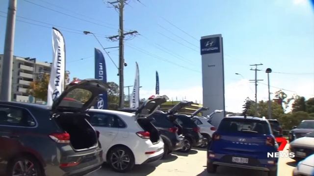 Clever Elly featured on 7 News смотреть онлайн