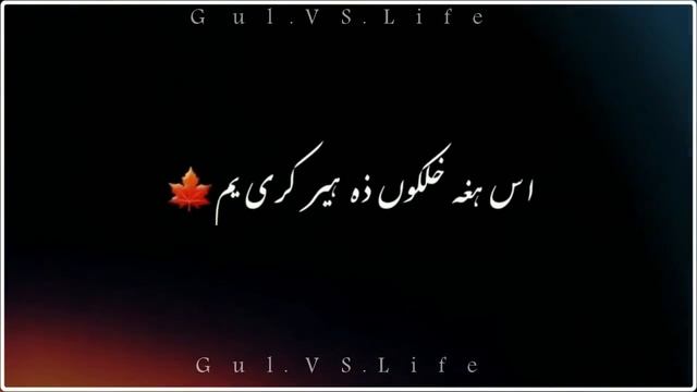 Che Raza Raza Jawand me Arman Black screen Status Whatsapp status pashto смотреть онлайн