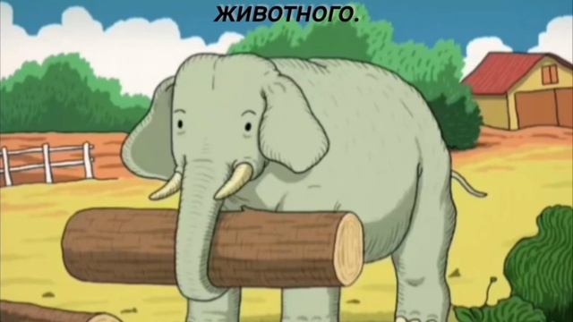 Тест на внимательность. смотреть онлайн