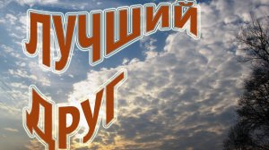 Лучший друг