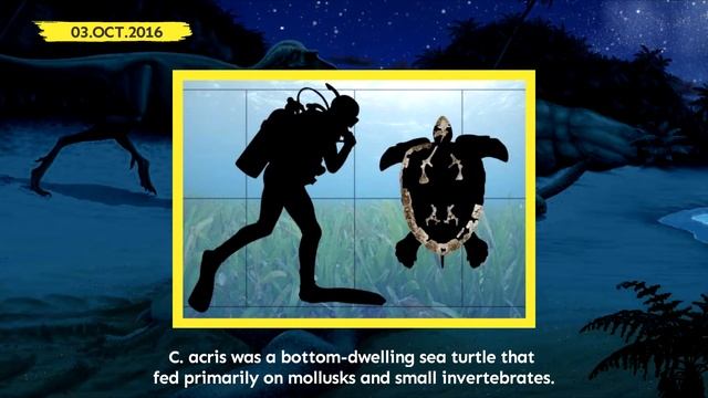 Fossil of Oldest Known Sea Turtle Discovered | Prehistoric News смотреть онлайн