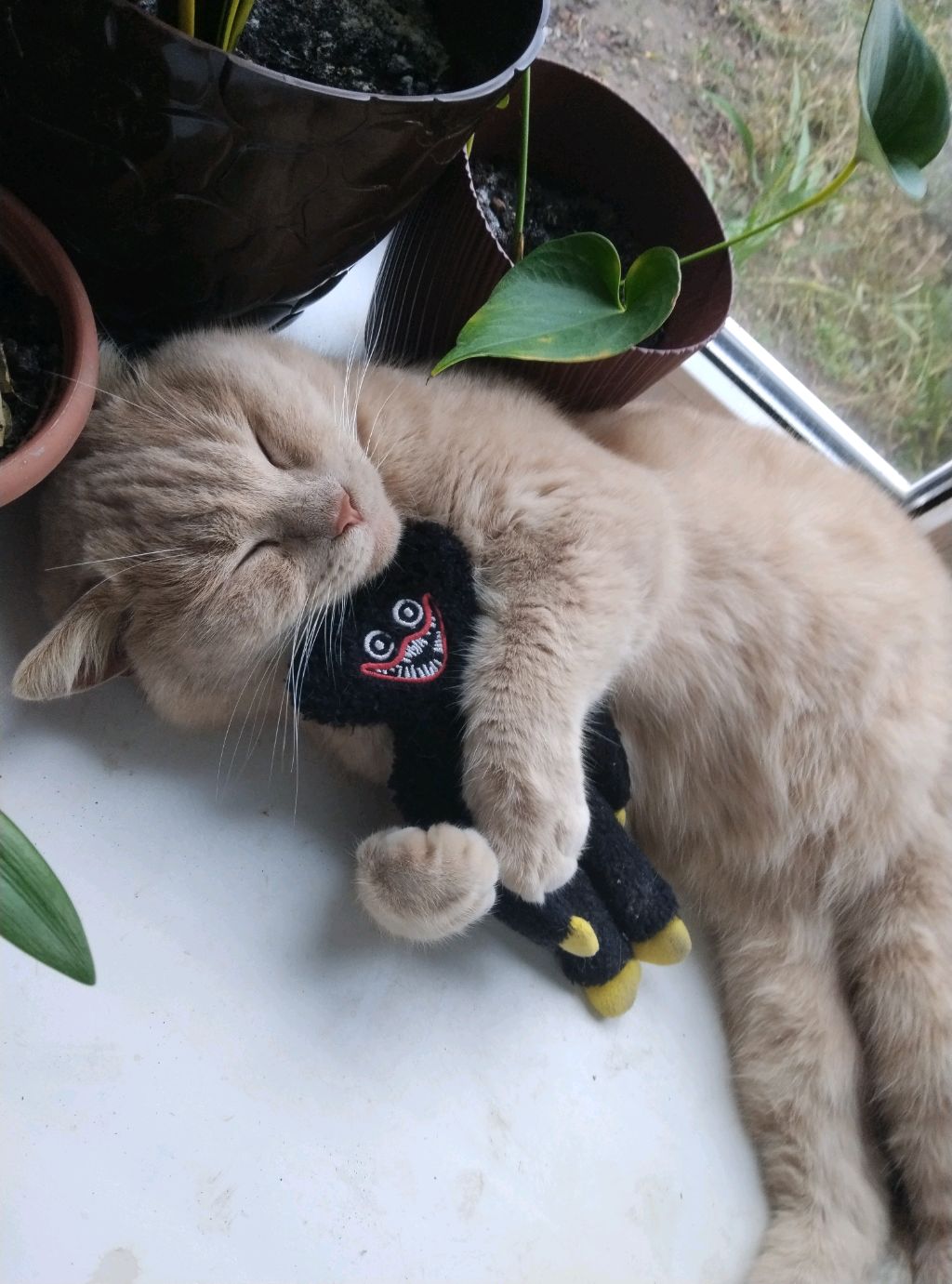 о смотреть онлайн