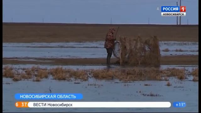 Россия 1 Новосибирск смотреть онлайн