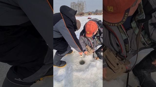 Поимка гольца и форели в полях. смотреть онлайн