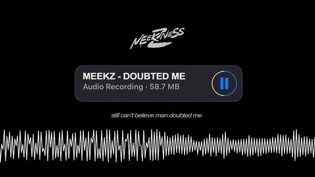 Meekz - Doubted Me (Lyric Visualizer) смотреть онлайн