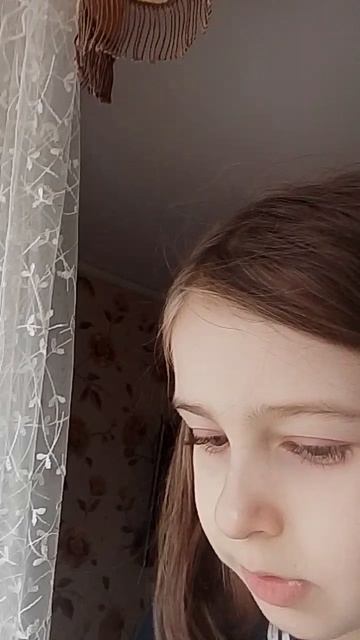 1000012206.mp4 смотреть онлайн