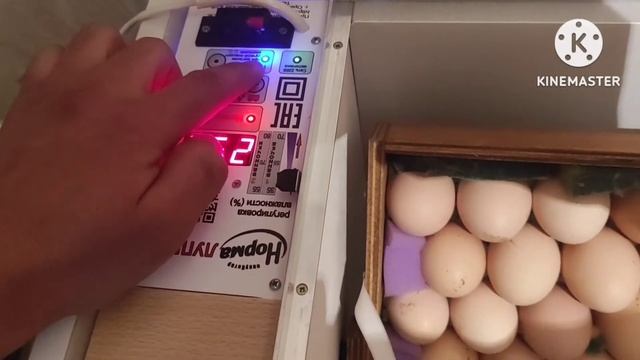 Норма луппер 72 инкубатор. Жожа очириш сирлари. Толик малумот. смотреть онлайн