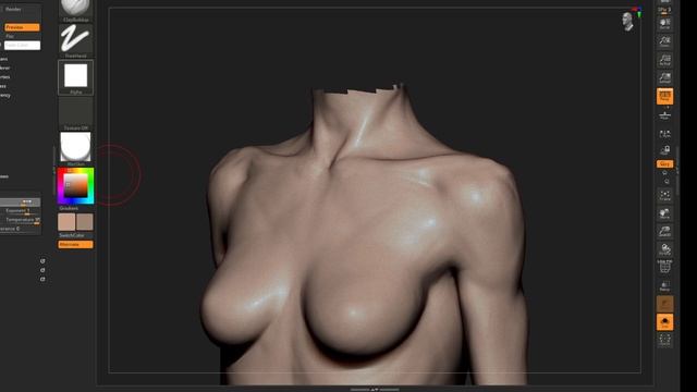 Realistic anatomy sculpting in Zbrush - Female Torso смотреть онлайн